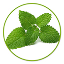 ingredient image